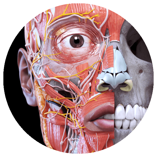 Human Anatomy APK Download for Android Free