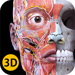 Full Anatomy 3D App