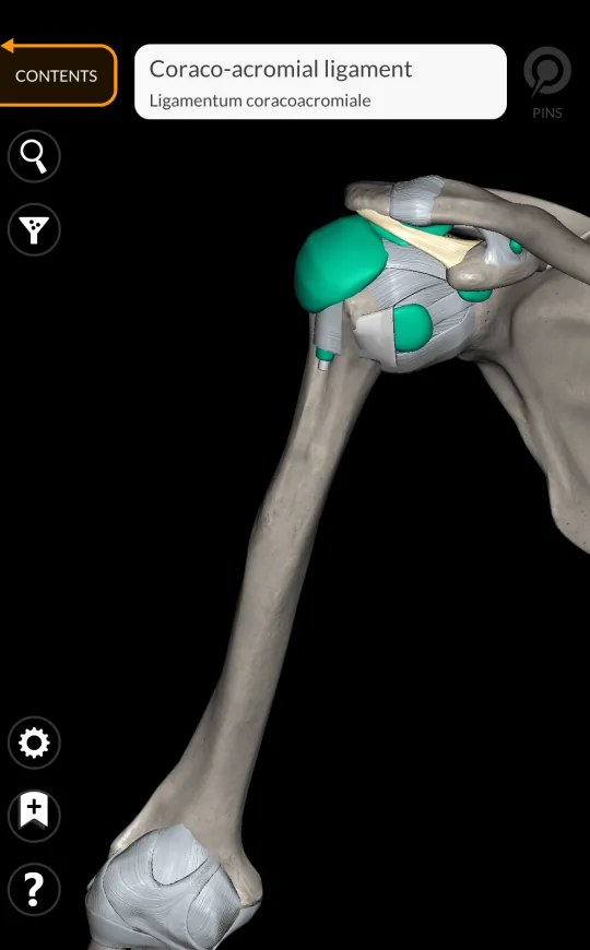 Centrar vista en Anatomy 3D Atlas, pantalla 1 de 2