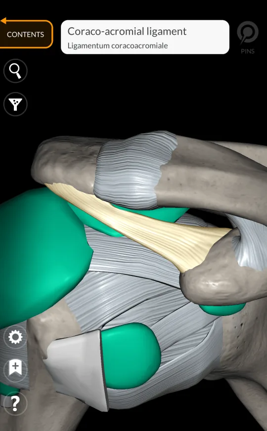 Centrar vista en Anatomy 3D Atlas, pantalla 2 de 2