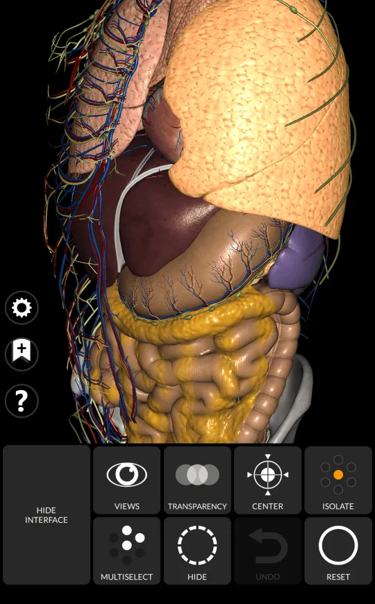 Ocultar en Anatomy 3D Atlas, pantalla 1 de 2
