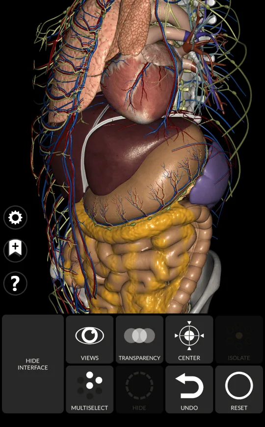 Ocultar en Anatomy 3D Atlas, pantalla 2 de 2