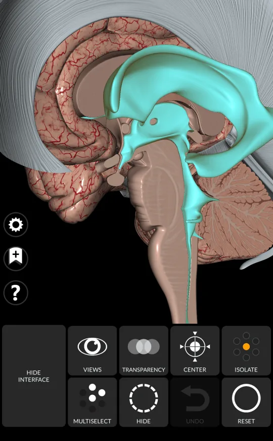 Aislar en Anatomy 3D Atlas, pantalla 1 de 2