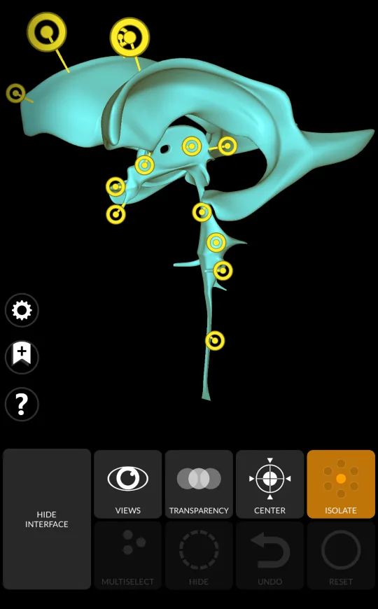 Aislar en Anatomy 3D Atlas, pantalla 2 de 2