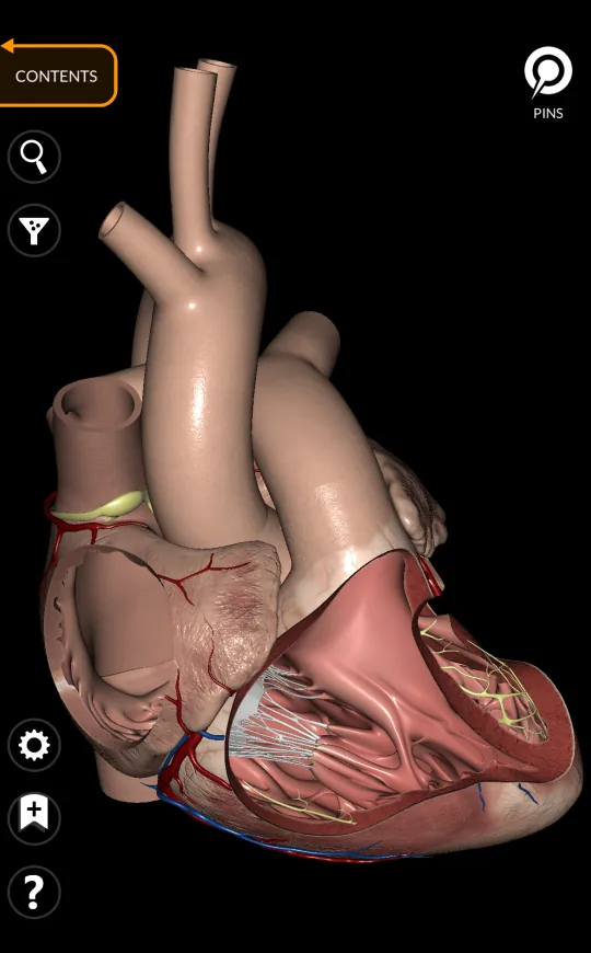Marcadores en Anatomy 3D Atlas, pantalla 1 de 2