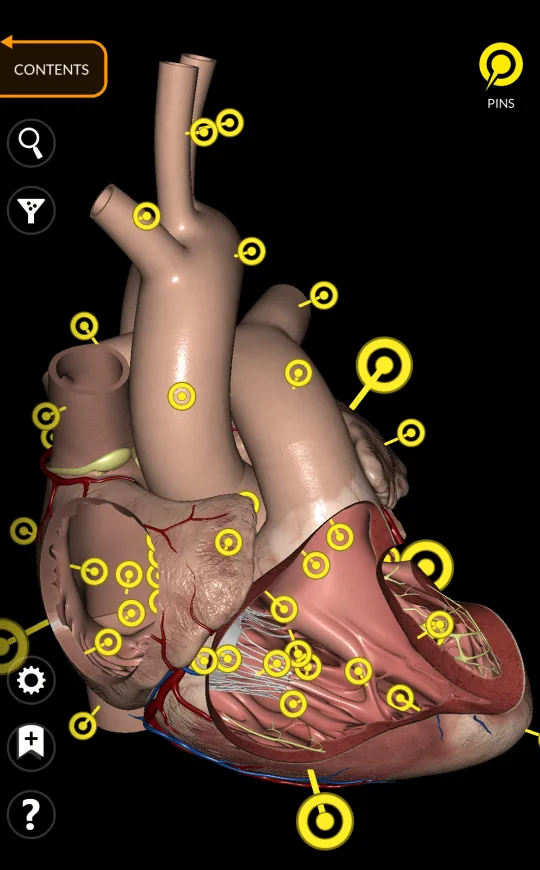 Marcadores en Anatomy 3D Atlas, pantalla 2 de 2
