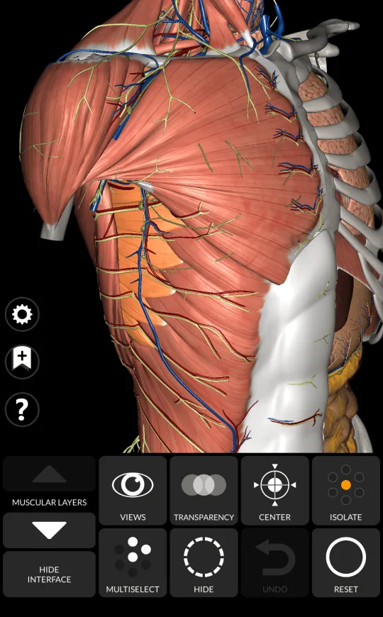 Transparencia en Anatomy 3D Atlas, pantalla 1 de 2