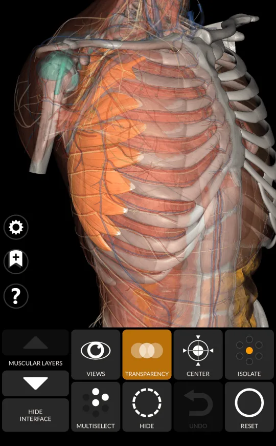 Transparencia en Anatomy 3D Atlas, pantalla 2 de 2