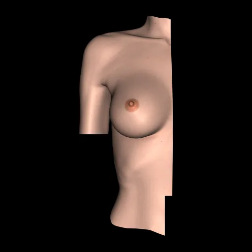 Mama, vista anterior