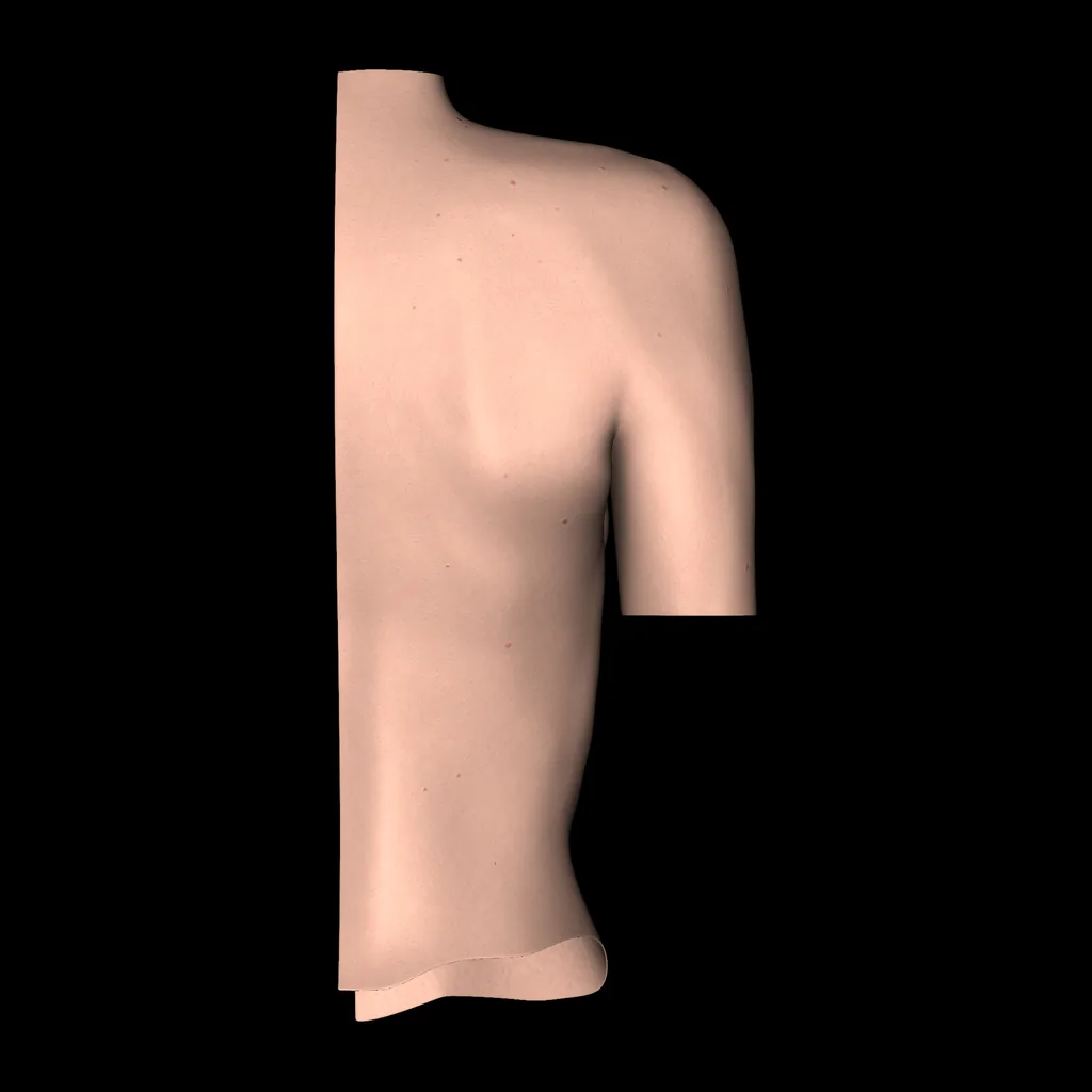 Mama, vista posterior