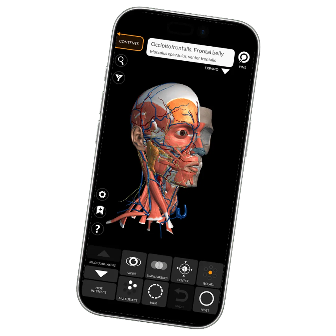 Anatomy 3D Atlas en un teléfono, con un modelo 3D y la barra de herramientas