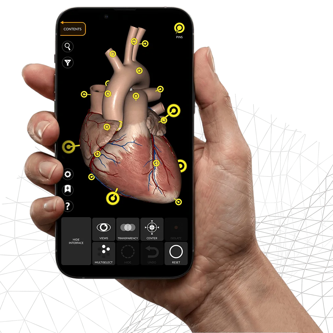 Anatomy 3D Atlas abierto en un teléfono