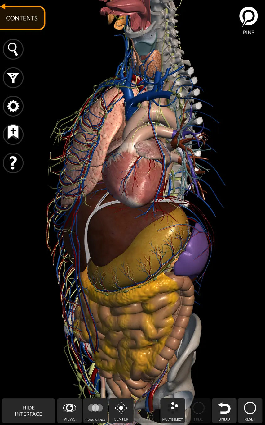 Anatomy 3D Atlas